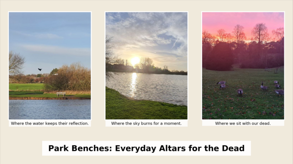 Trois scènes de parc : un banc au bord d’un étang miroitant, un coucher de soleil sur l’eau, des oies broutant au crépuscule. Les légendes ajoutent une tonalité méditative.