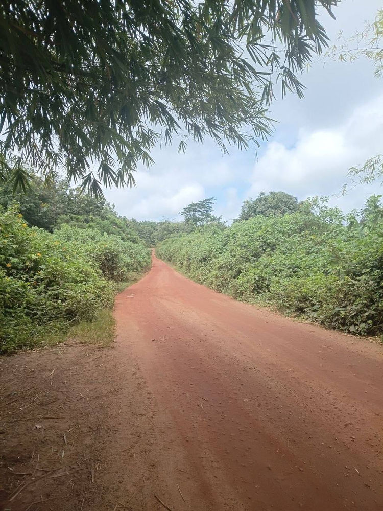 Cultiver la fraternité en Côte d’Ivoire