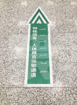 Tiré de l’article : 不只新疆!青海機場也現「人體器官」綠色通道
