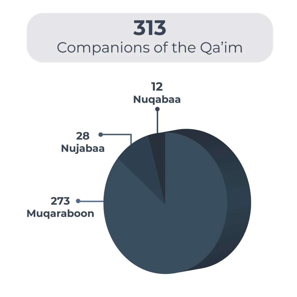 Infographie en camembert : les 313 compagnons du Qaim, répartis en 12 Nuqabaa, 28 Nujabaa et 273 Muqaraboon.
